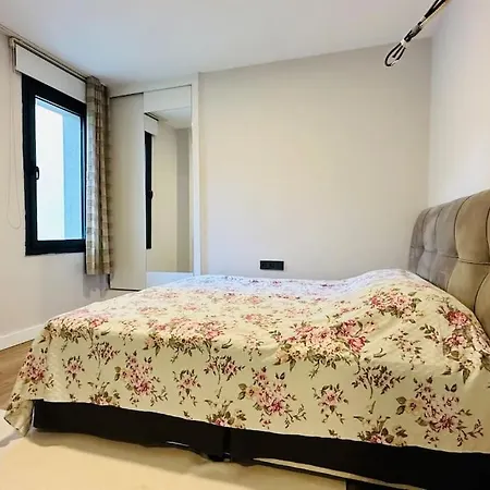 Bagla Denize Sifir Bahce Kat 2+1 Daire Appartement *